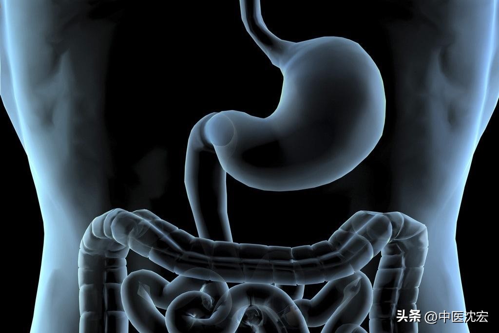 十大健脾养胃中成药,四种健脾养胃的中药