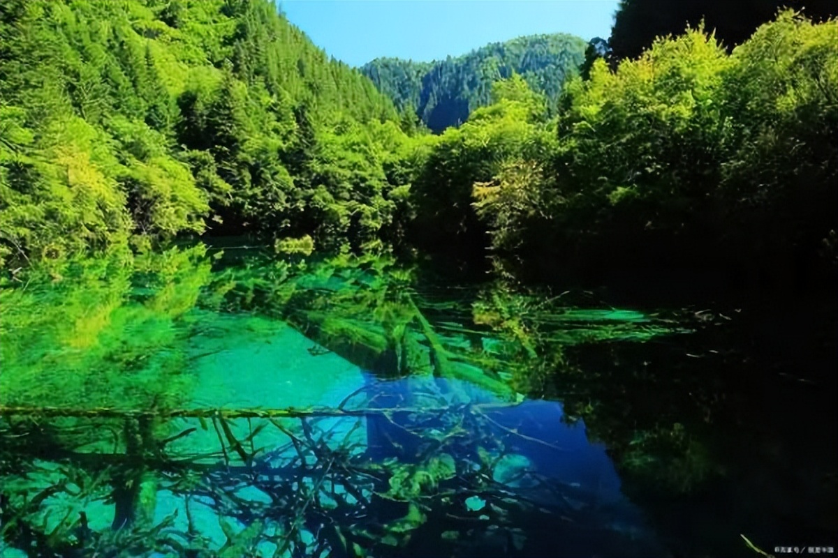 正儿八经的四川方言,入木三分的翻译