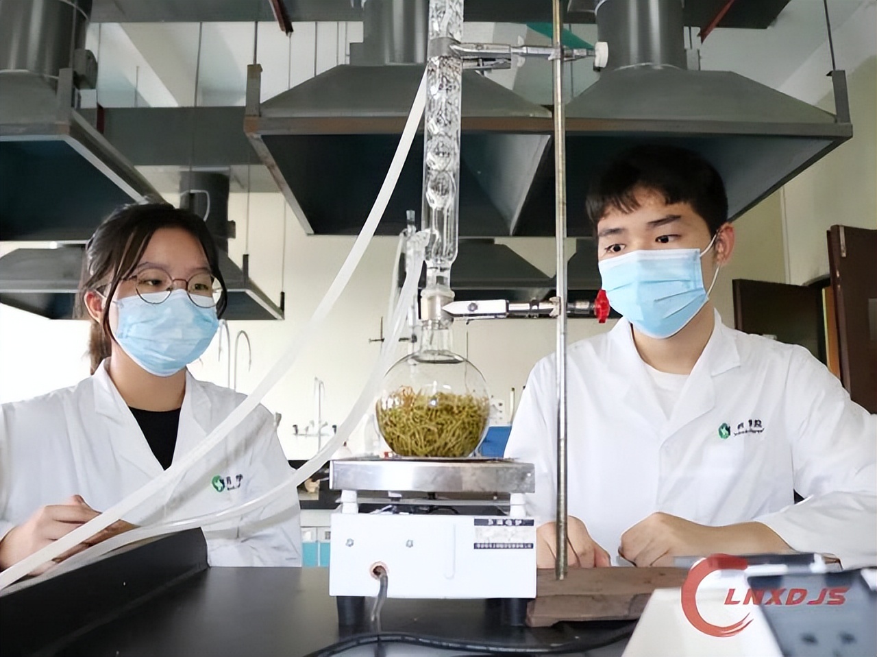 中药学就业前景和待遇,中药行业就业工资