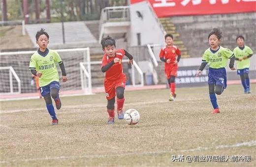 看完世界杯中国足球何去何从,14亿人踢不进世界杯