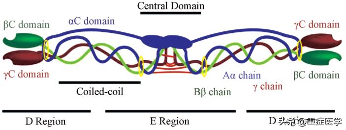 凝血七项中各指标意义,凝血功能七项是什么意思