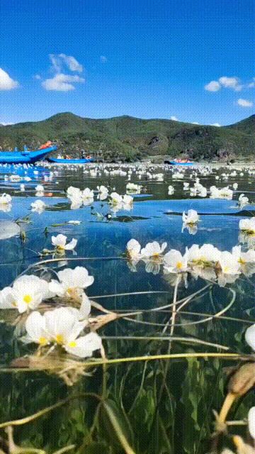 等疫情结束的优美句子,等疫情结束你最想做什么