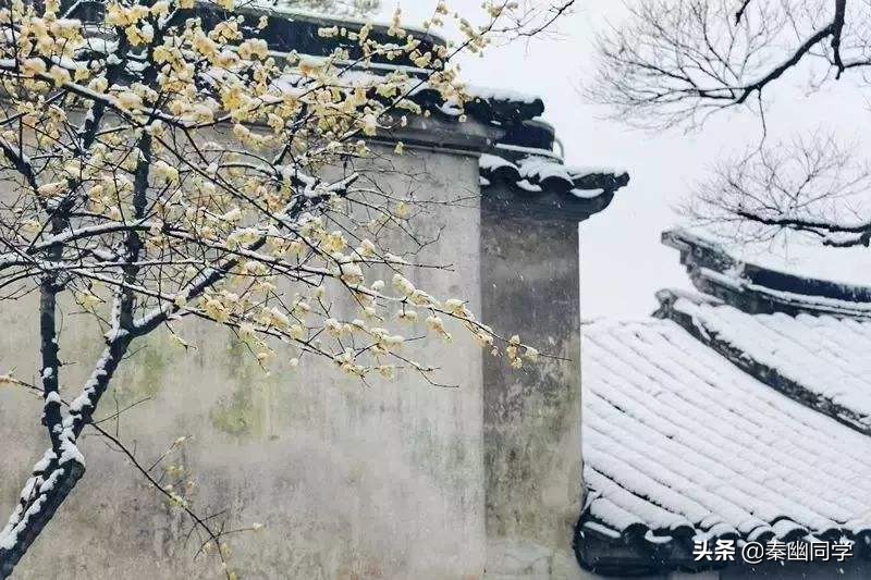 十首有关雪的十大绝美诗句,含雪和娇字的唯美诗句