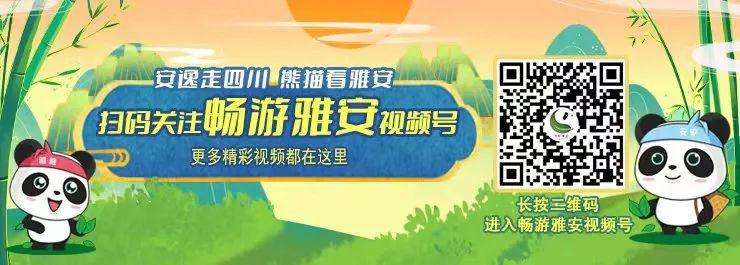 非遗奇遇记端午赛龙舟,端午节赛龙舟比较有特色文艺活动