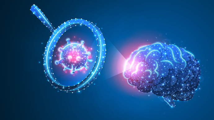 人类大脑内存相当于多少g,人类大脑记忆容量