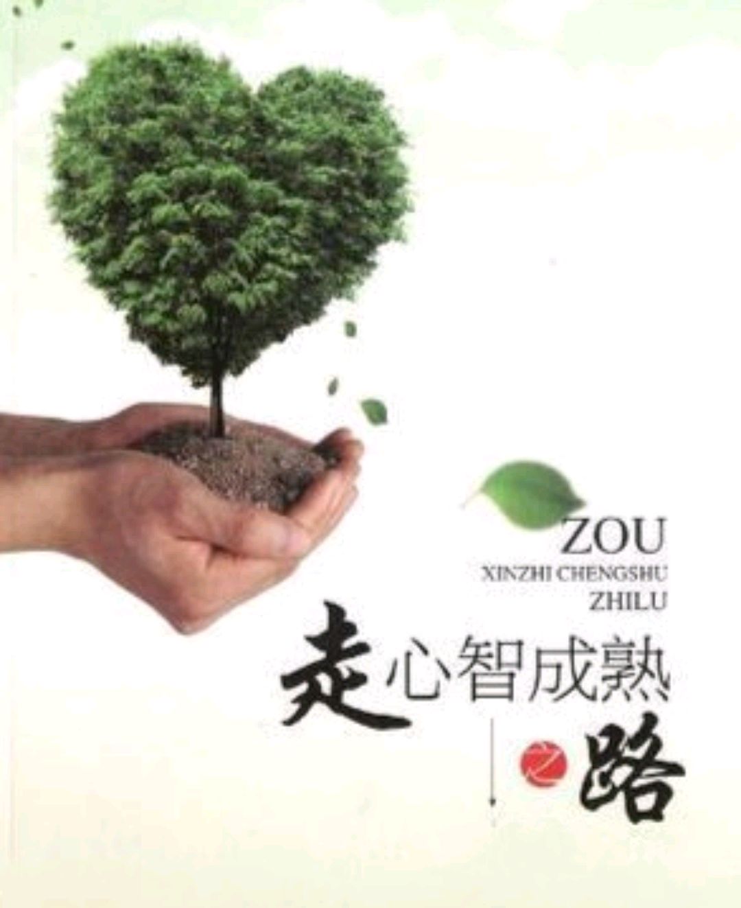 如何说一个人心智不成熟,一个人心智不健全