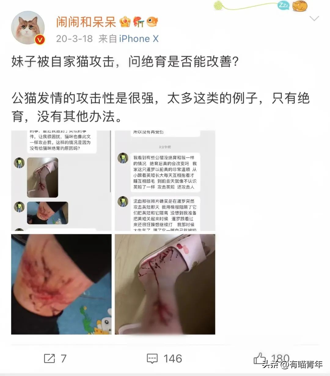 猫咪在交配的时候，究竟爽不爽？