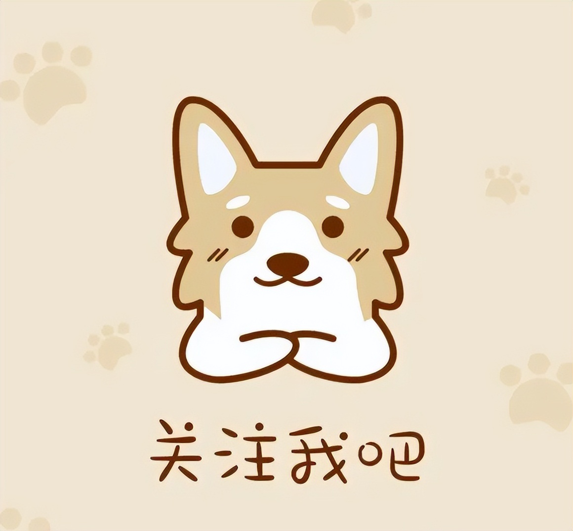 黑白相间的小型犬有什么品种,爱斯基摩犬小型犬品种大全