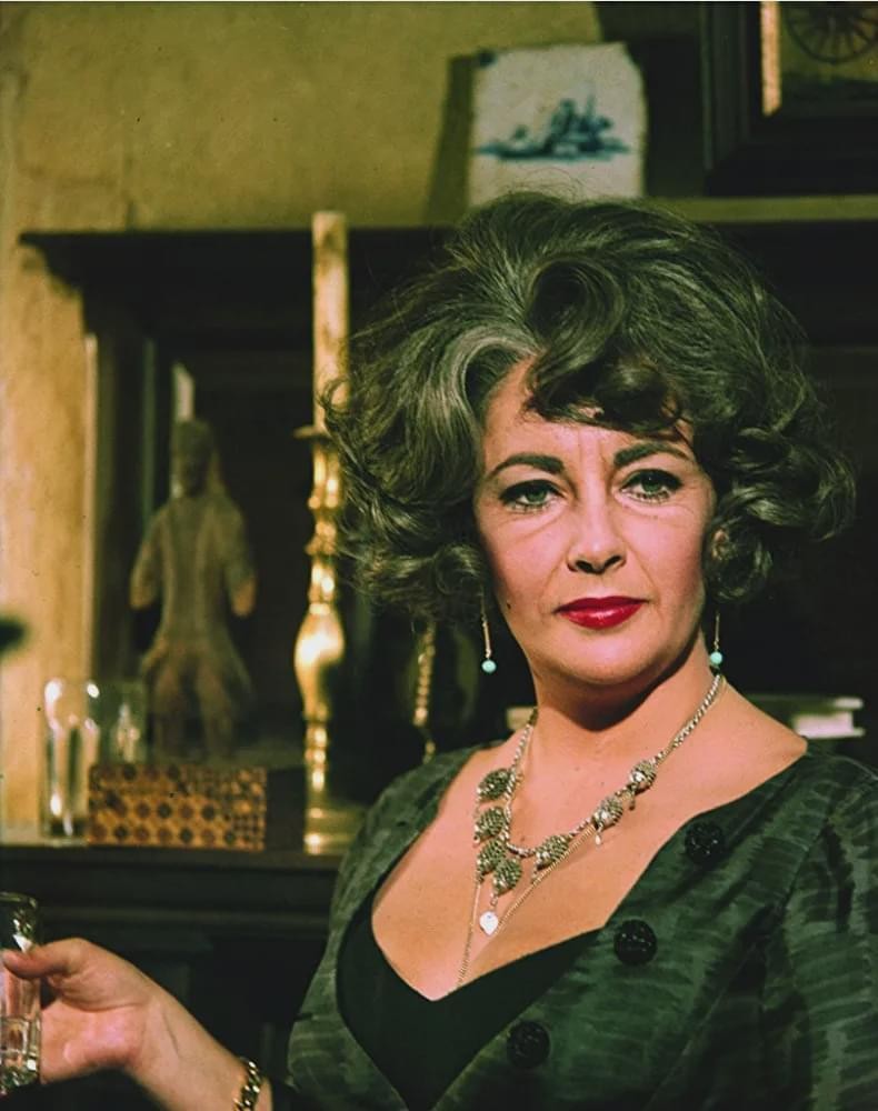 伊丽莎白泰勒一生经历,伊丽莎白泰勒风华绝代