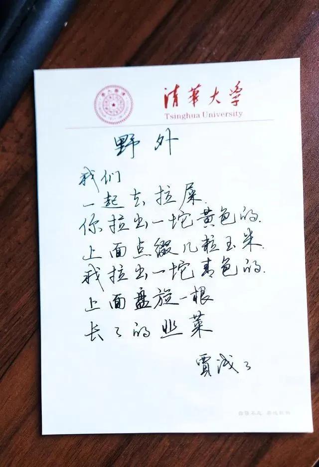 百年新诗和贾浅浅,西北大学副教授贾浅浅发表新诗