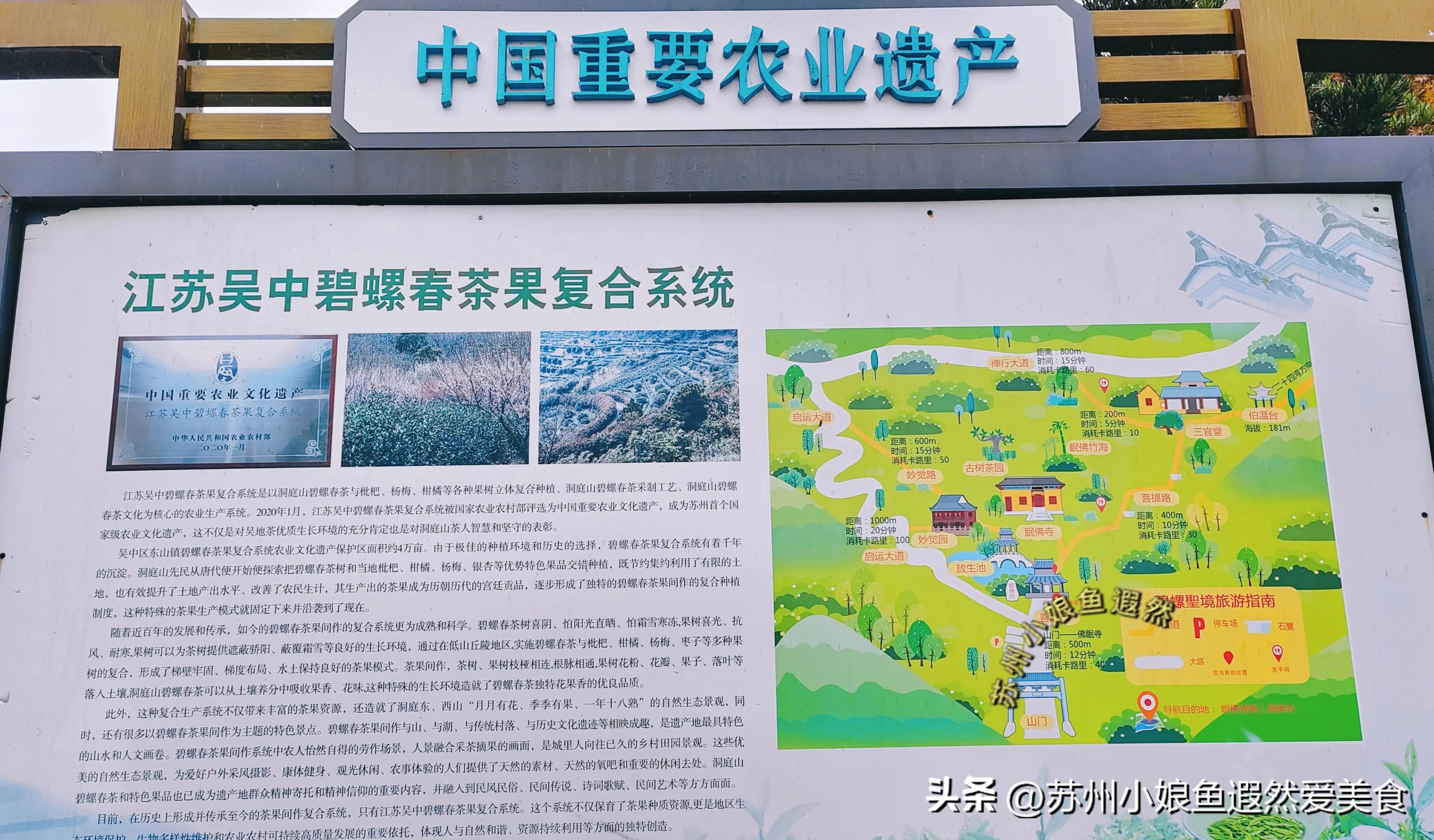 苏州古寨旅游攻略,苏州一日游攻略探索更好玩的景点