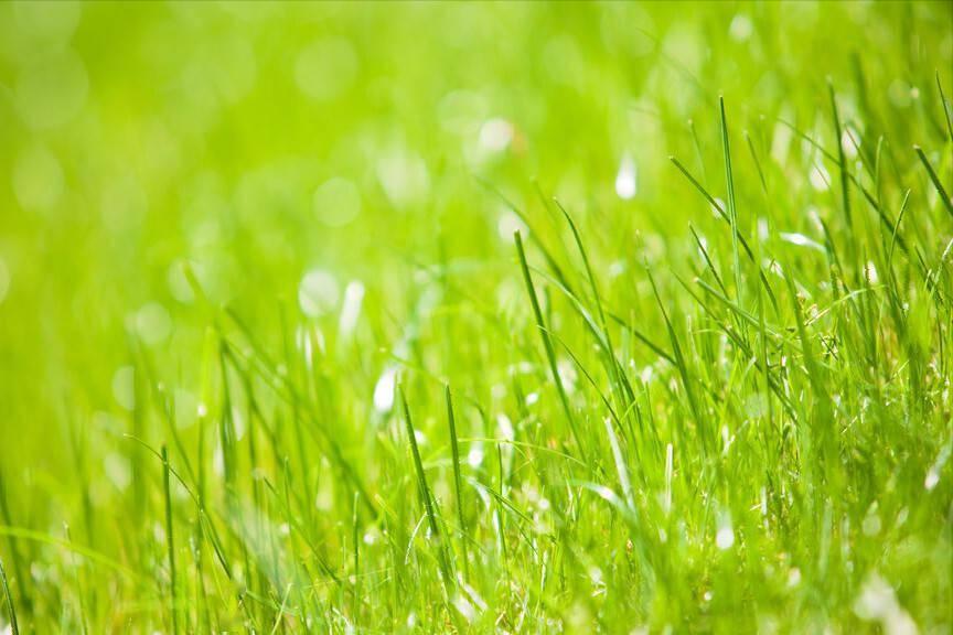 关于春天的100首经典诗词,春天最美的诗词有哪些