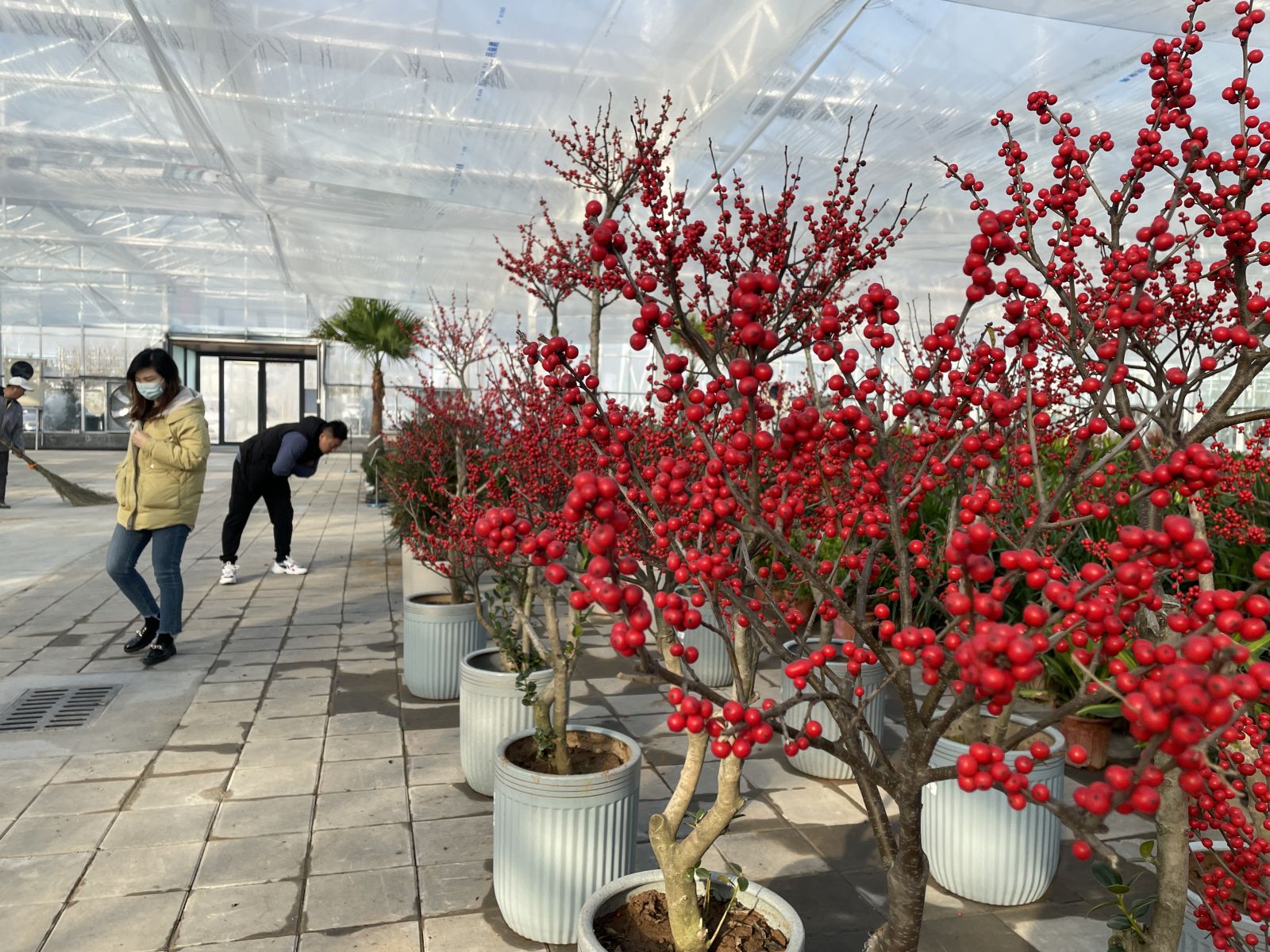 填补本土花园中心空白，济南园艺“宜家”落地