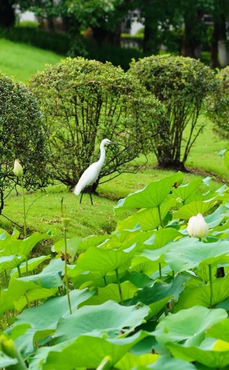 上海高校豪华宿舍,上海神仙级学校