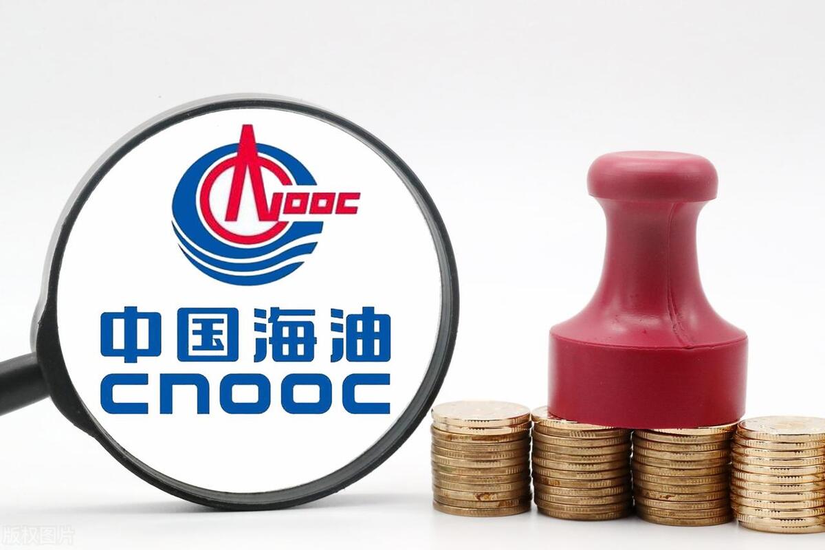 各行业龙头股详细名单,十大优质龙头企业