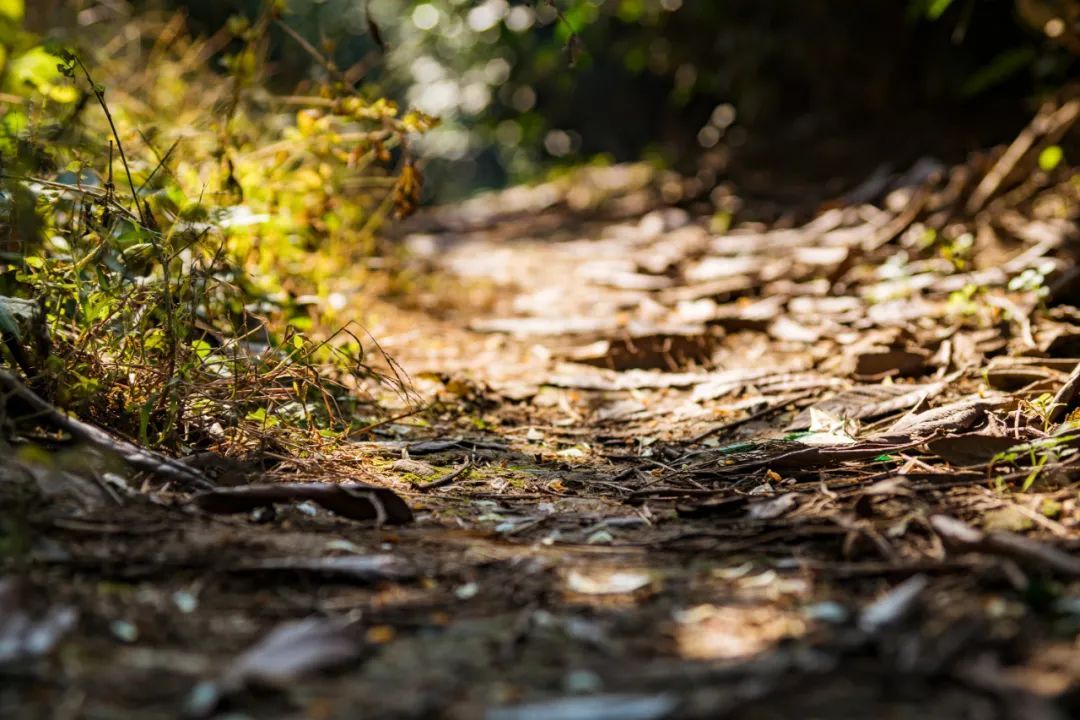 太湖西山岛冬季旅游攻略,苏州太湖西山岛有什么玩的