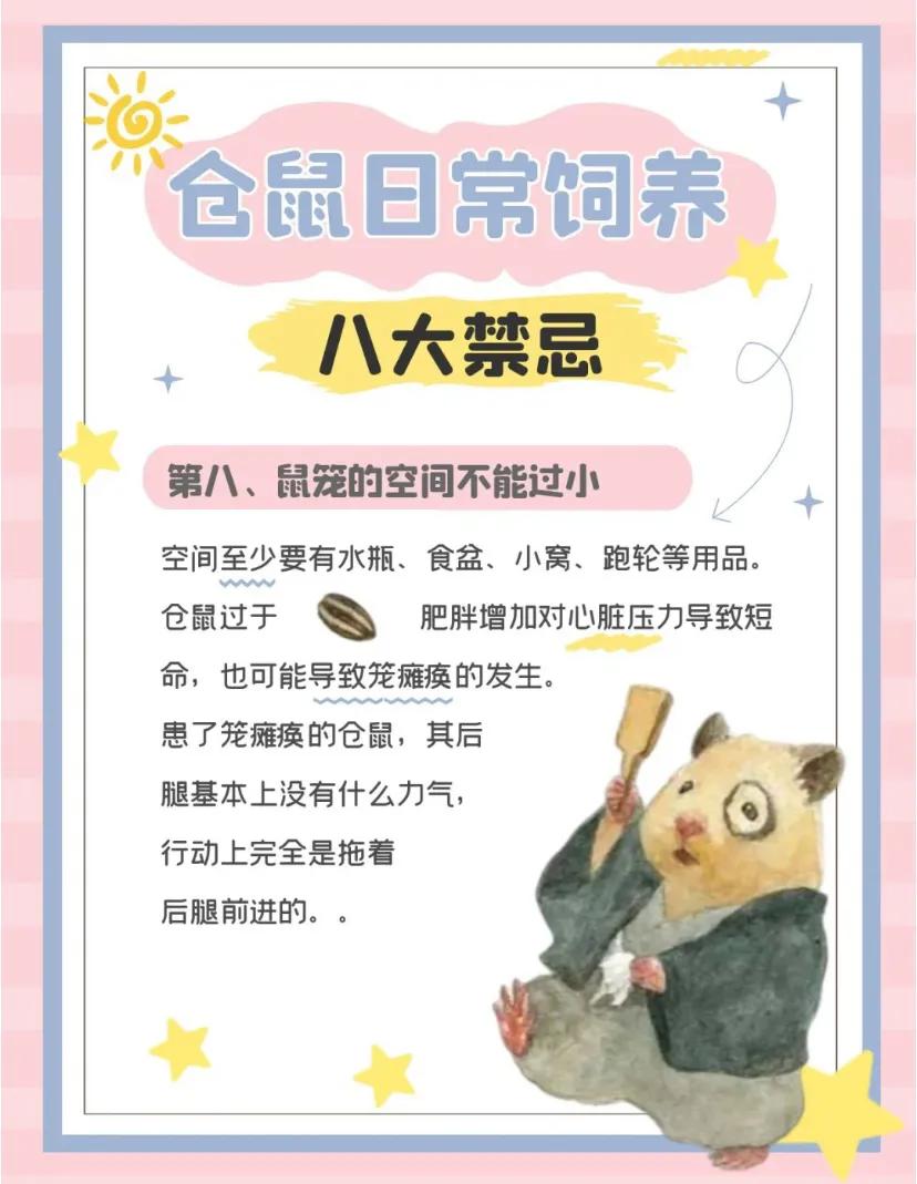 仓鼠的十大禁忌,仓鼠的八大禁忌