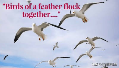 和蔬菜有关的英语谚语大全,英语谚语100个常用小学