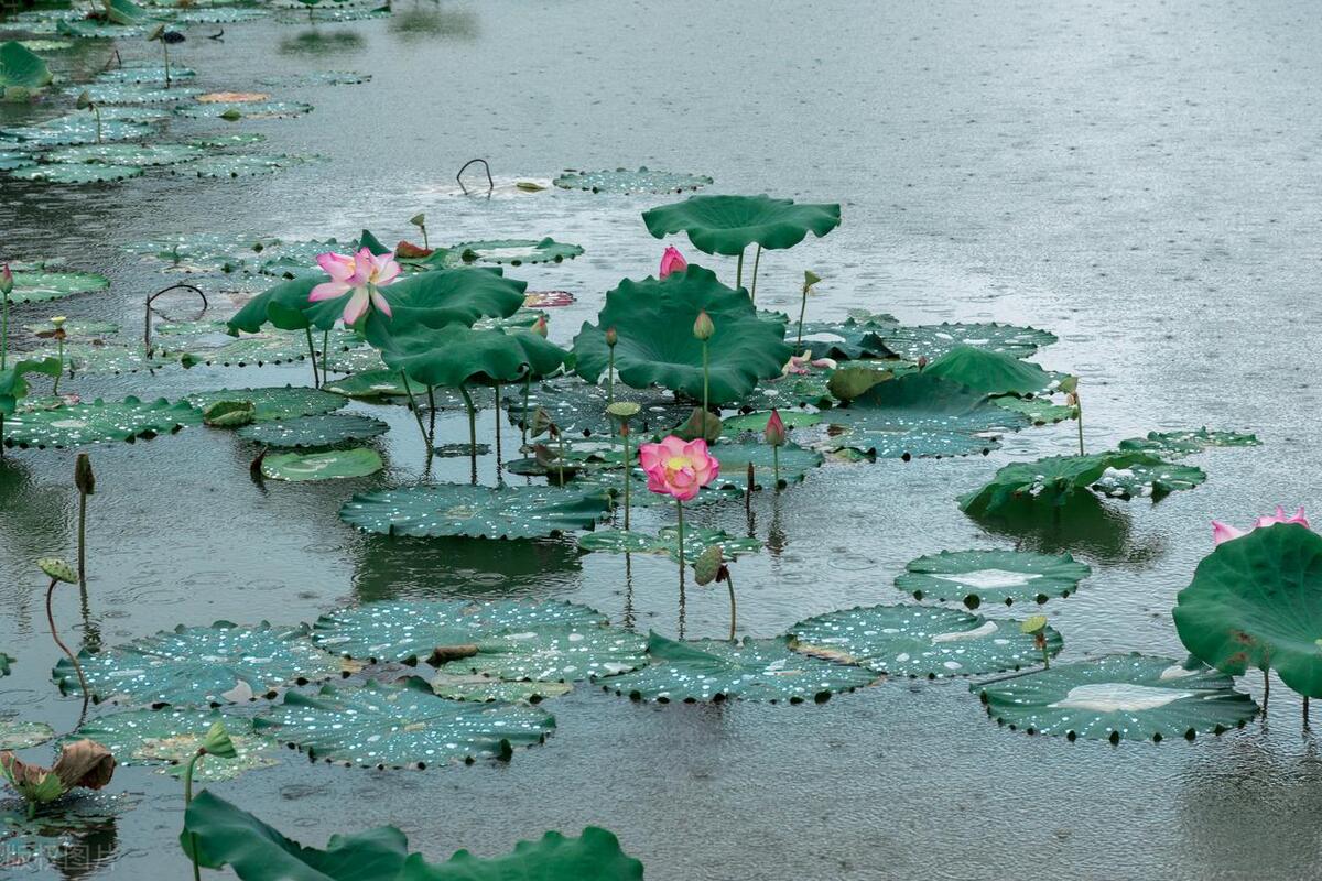 伤害一个人还会伤害另一个人,伤害一个人总是很简单