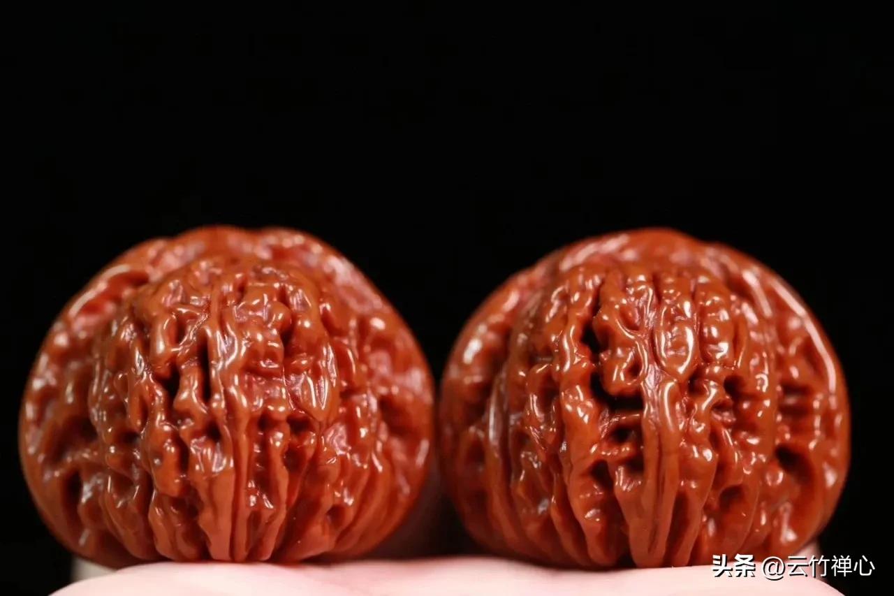 如何挑选菩提金刚,金刚菩提子的选购技巧和方法视频