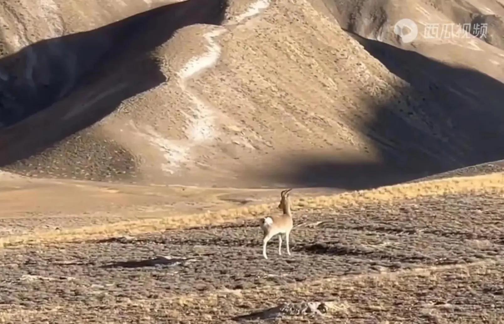 山外的世界作文,洞外的世界