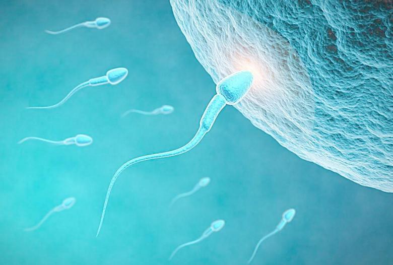 单卵双胞胎和双卵双胞胎的区别,单卵双胞胎异卵