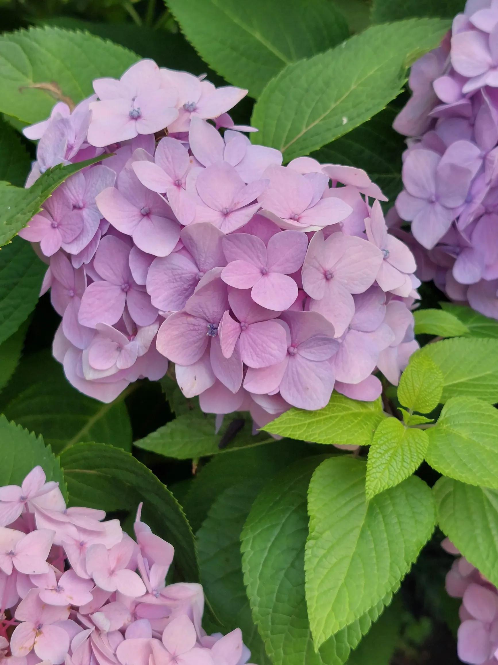 努力决定你的职业,努力是一种态度与职业无关