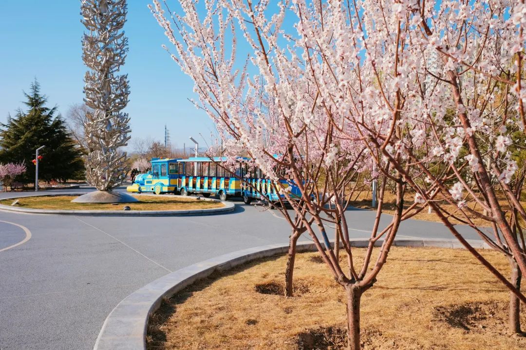 石景山首钢园骑行,春天石景山赏花