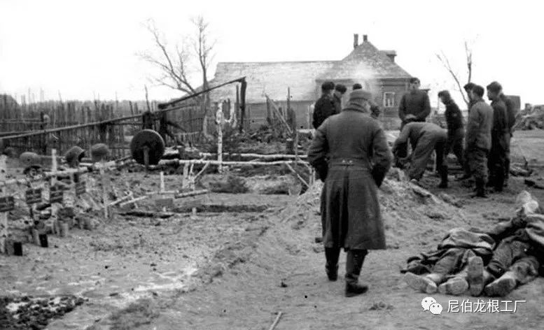 好收吾骨瘴江边全诗,好收吾骨瘴江边翻译