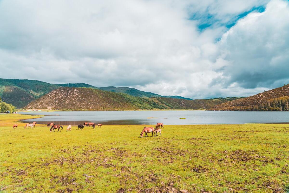 不管怎么样家庭永远是第一,不管怎样家庭永远要放在第一位