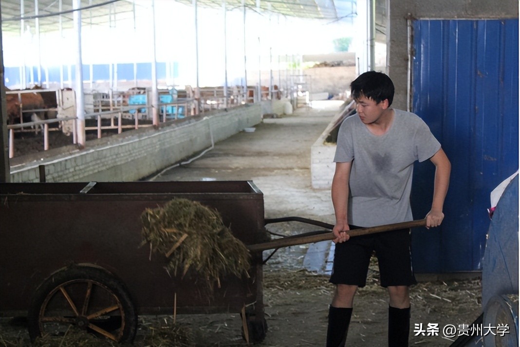 贵大这个学院,学生们的升学故事真精彩!