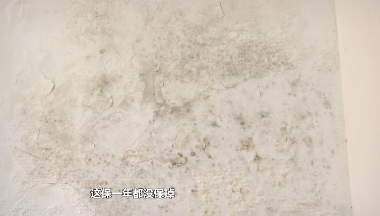 墙面渗水、掉皮、发霉…合肥多户居民苦不堪言！
