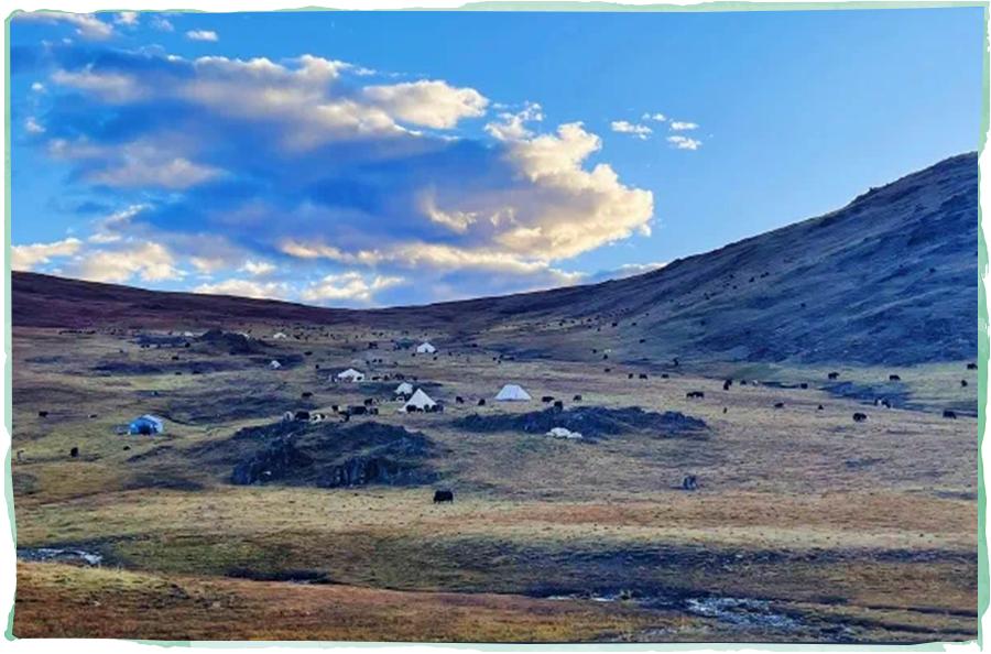 史上最苦亲子游，最惨时三人分一碗泡面！我为什么还要带年糕来？