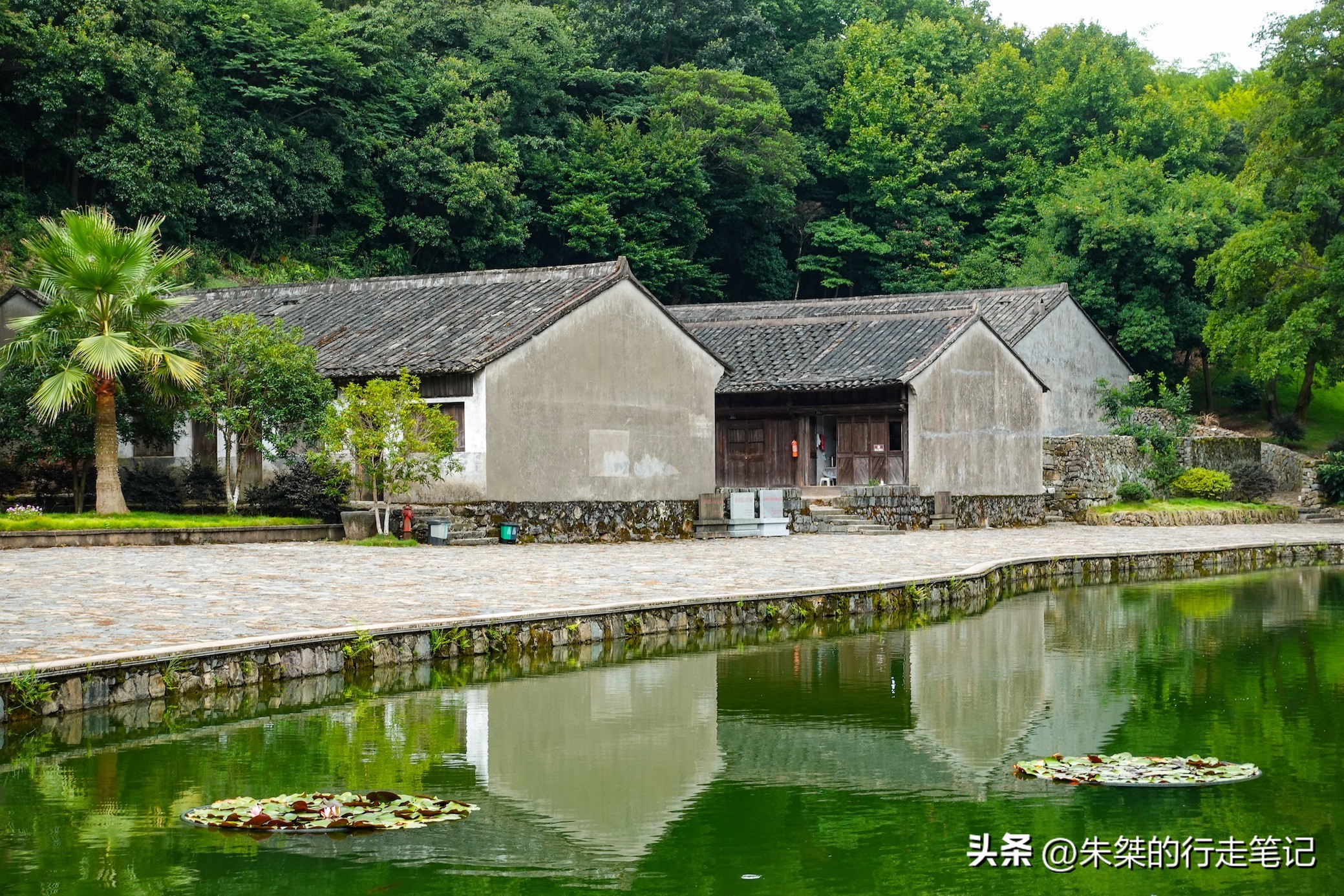 苍南古村落景点打卡,苍南有什么适合打卡的景点