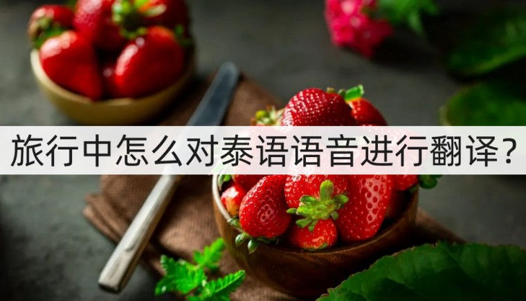 泰语语音翻译,泰语翻译器在线语音翻译