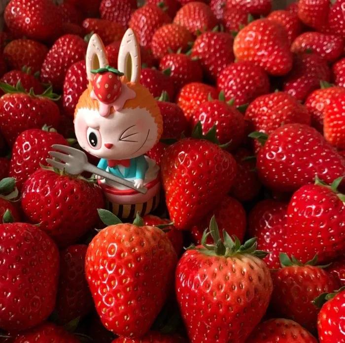 独处之美的句子说说心情,工作累了只想安静独处的说说