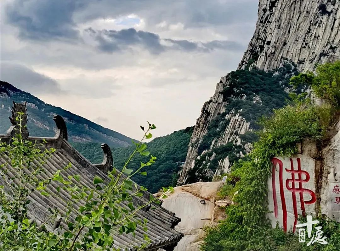 佛学名词100首,必背的33条佛学基本名词建议收藏