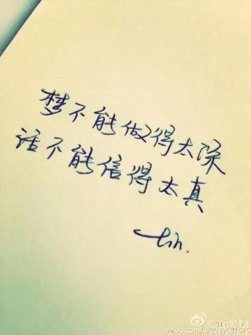 那纷纷扬扬的花瓣犹如万千飞碟，在蓝天下飞扬着翩跹的舞姿