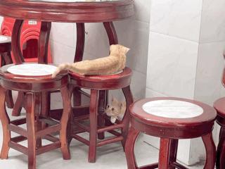 绯栨按搴楀繀鎵撳崱鏀荤暐,绯栨按搴楀浣曠粡钀ユ墠鑳戒笉浜忔湰