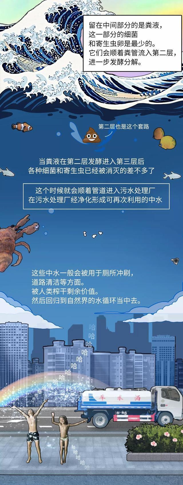 每天的屎尿垃圾都去哪了,我们每天上厕所的粪便都去了哪里