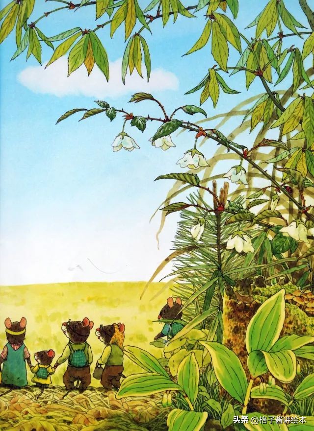 绘本十四只老鼠去春游简介,绘本14只老鼠去春游视频