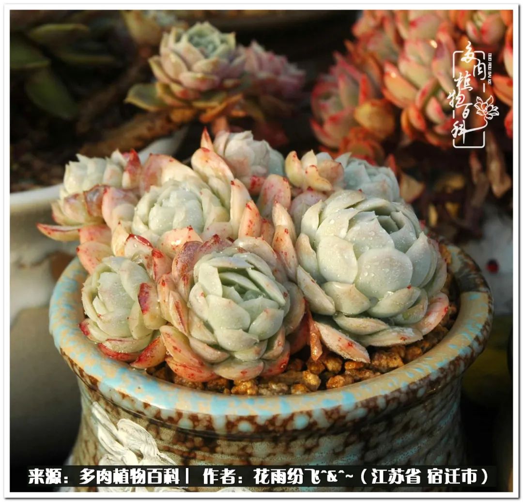 快乐的童年时光视频,回味快乐的童年美好的时光