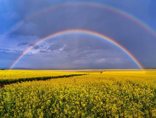 这条惊艳奇绝的公路,行走在天山脊梁上的最美景观公路