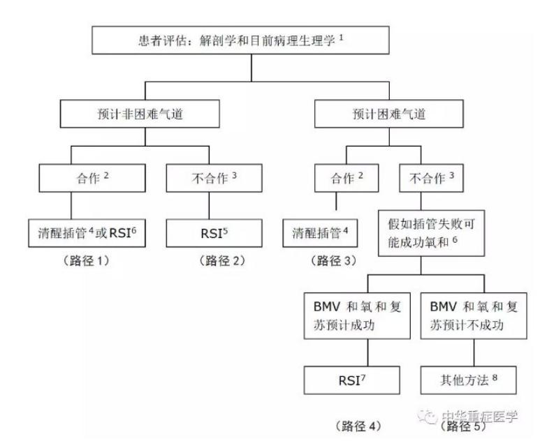 治疗插管,气管插管术的具体步骤及注意事项
