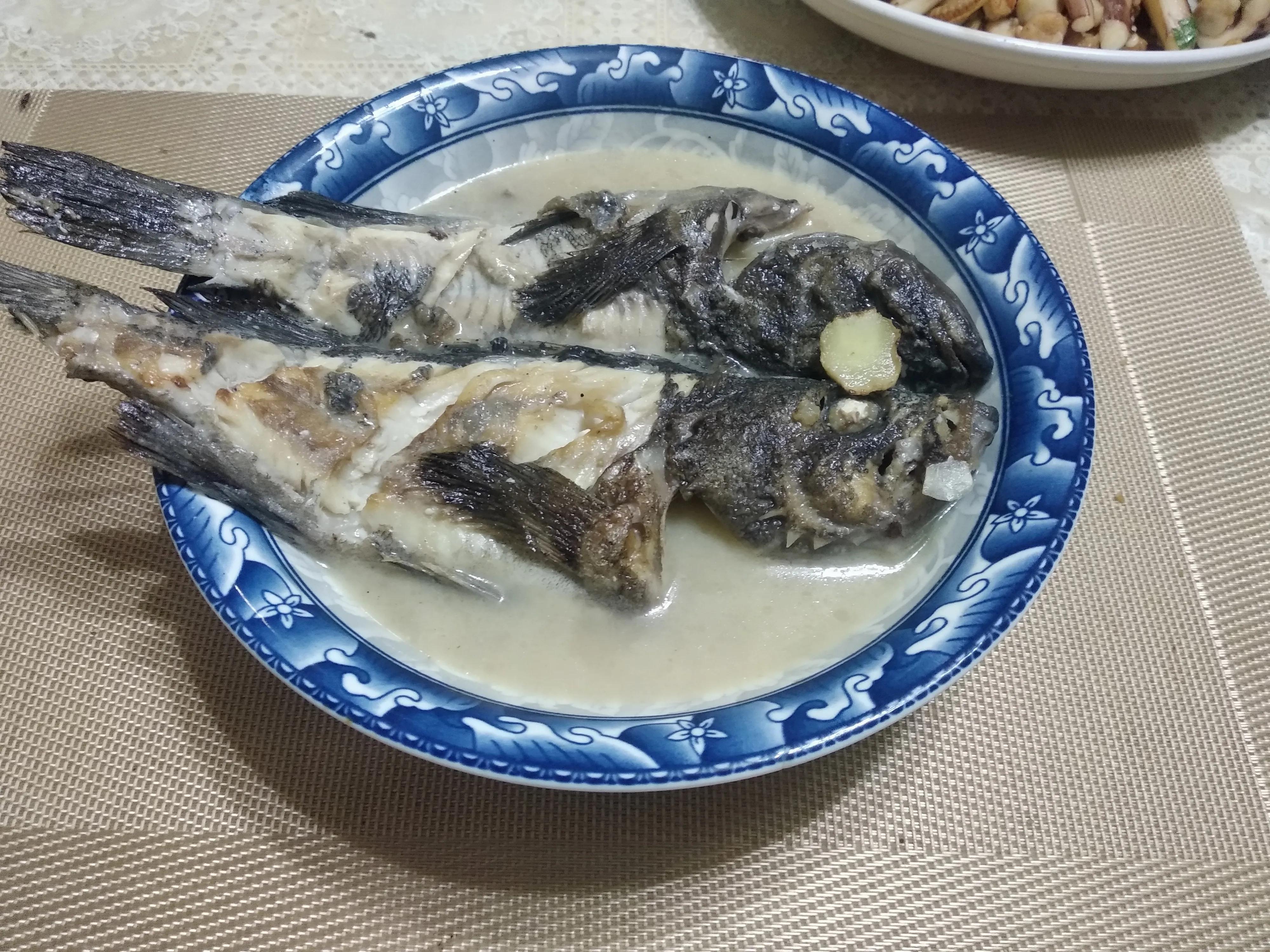 常吃的大海鱼的种类和名字,常吃的大海鱼有哪些