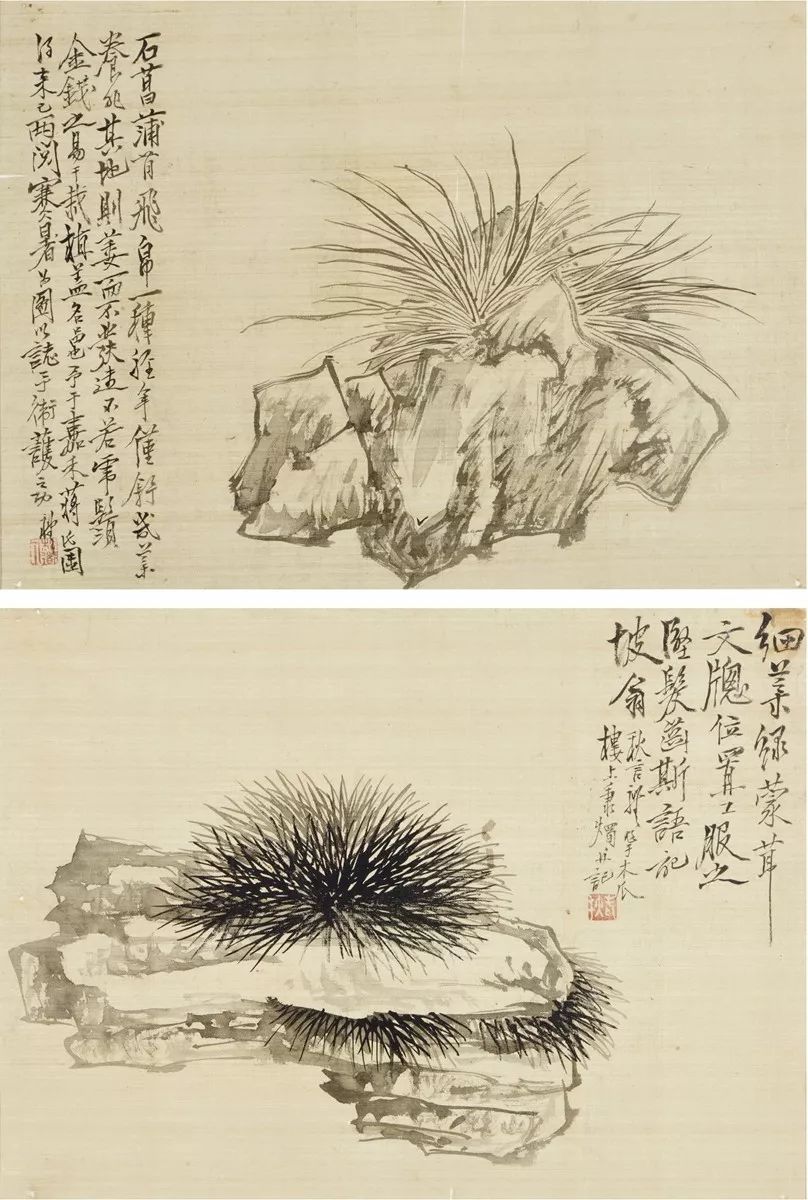 看吴昌硕画菊似乎感觉到秋风,王礼的国画作品欣赏