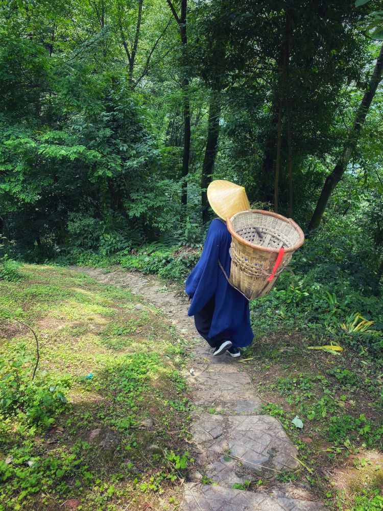 躺平的尽头是出家？毕业生想去道观工作，得先看看自己够不够资格