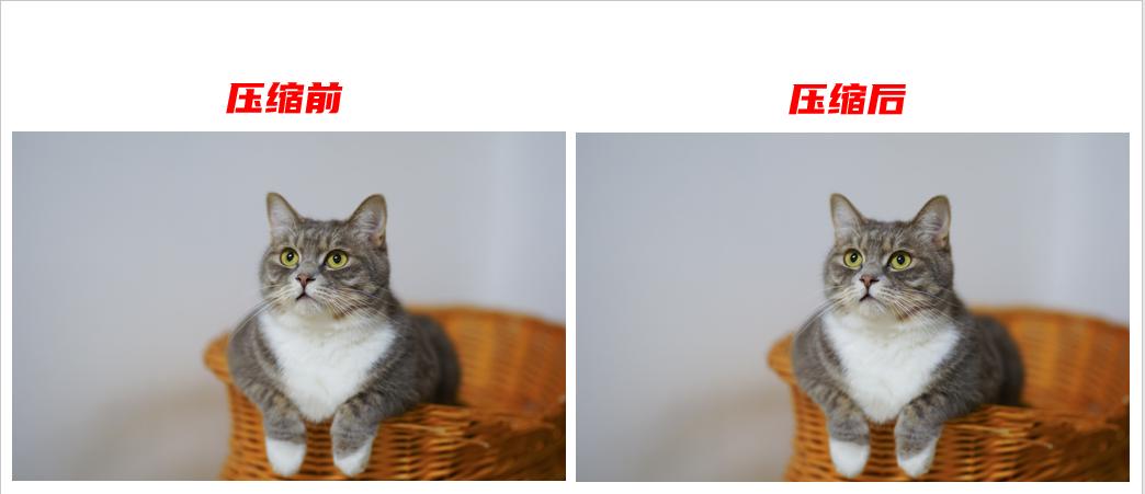 ppt太大怎么压缩取消可编辑性,ppt太大怎么压缩不影响图片