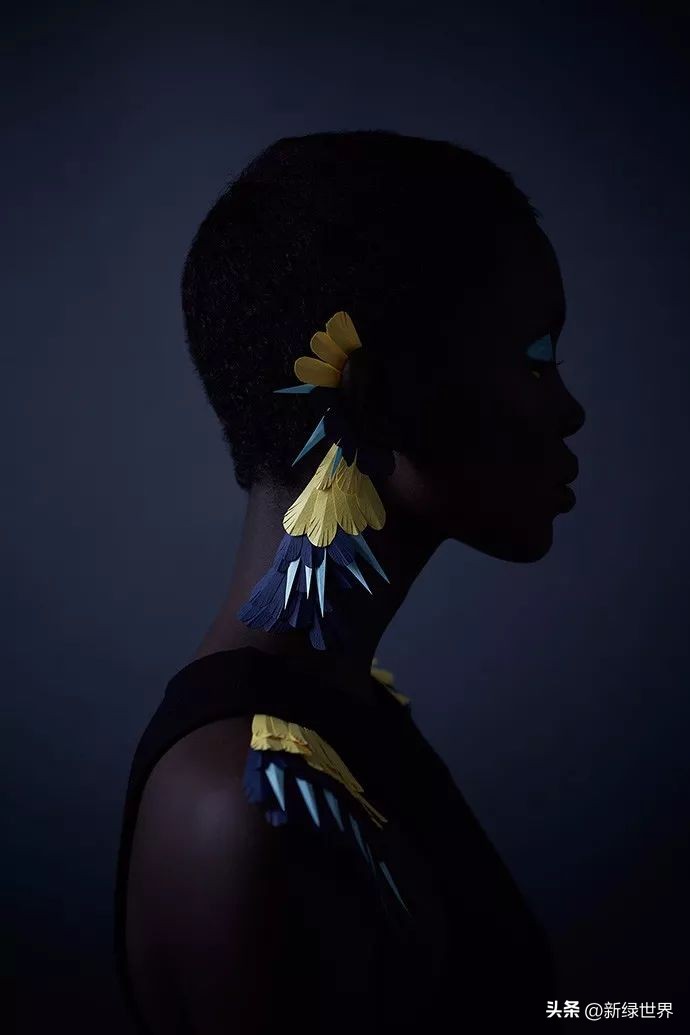 纸艺作品绘画,千变万化的纸艺术作品