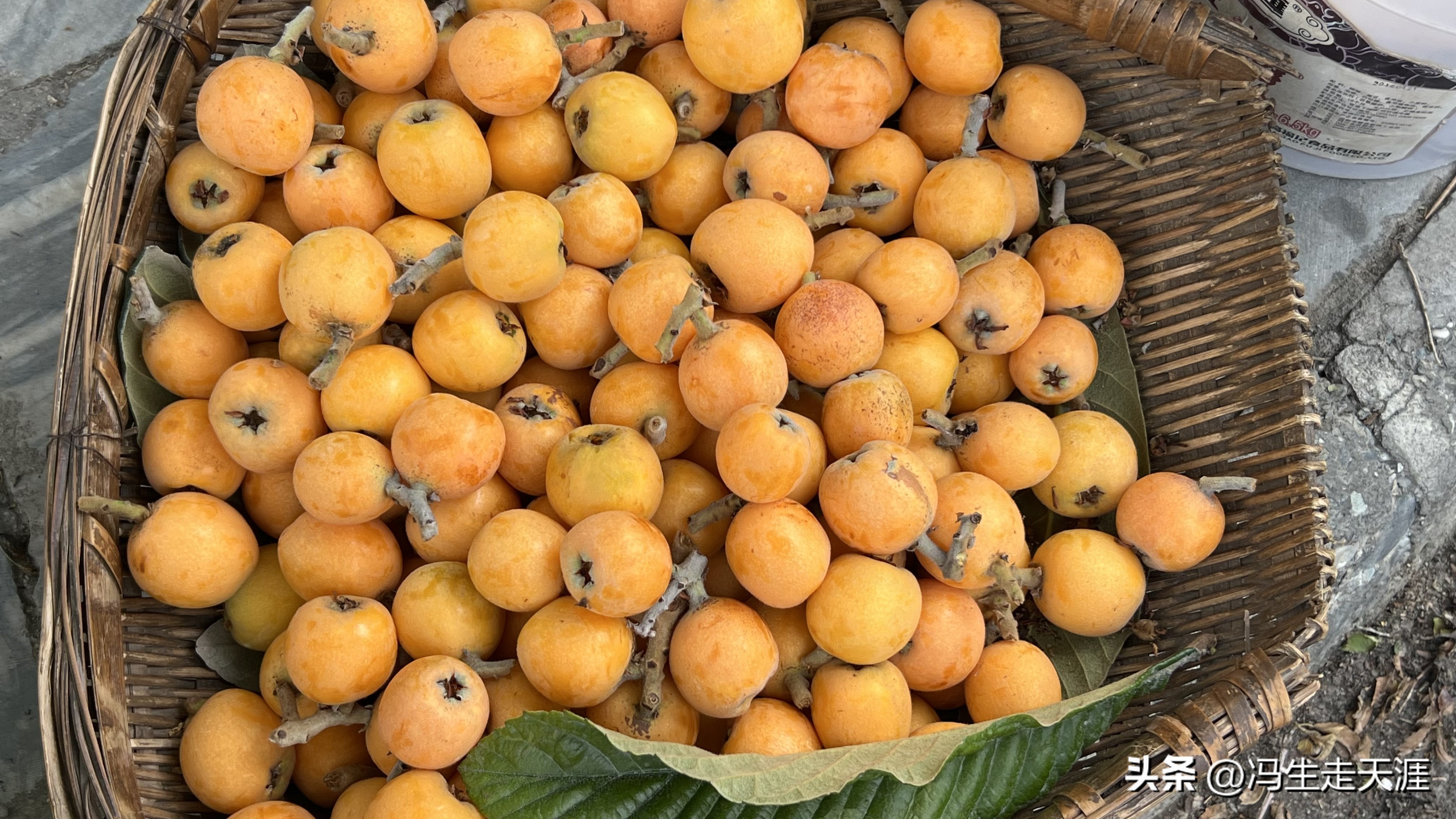 从成都到茂县沿途旅游攻略,成都到马尔康旅游景点攻略路线